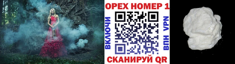 Купить закладки  Дмитриев  Кокаин FishScale 