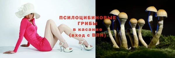 гидропоника Козловка