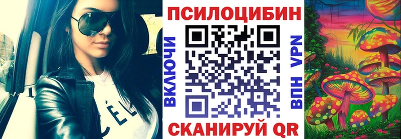 Купить закладки  Дмитриев  Галлюциногенные грибы Psilocybe 